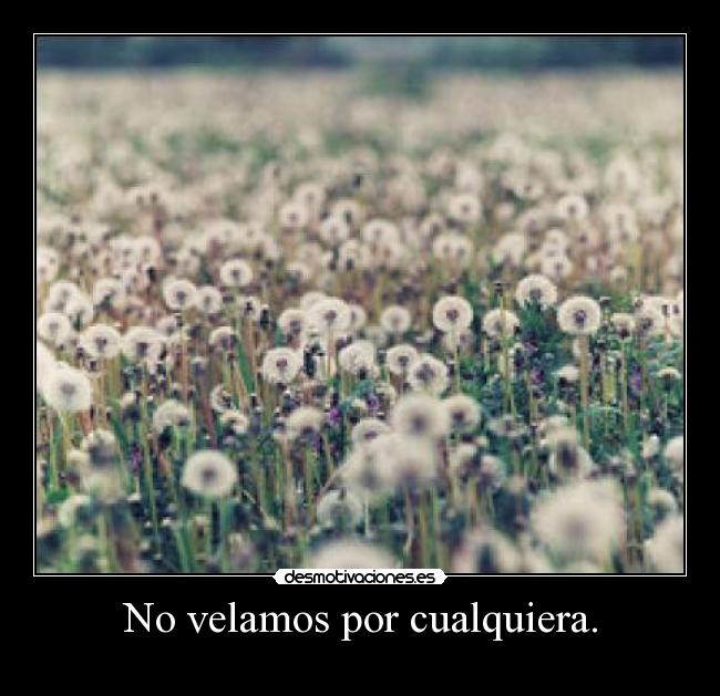 No velamos por cualquiera. -