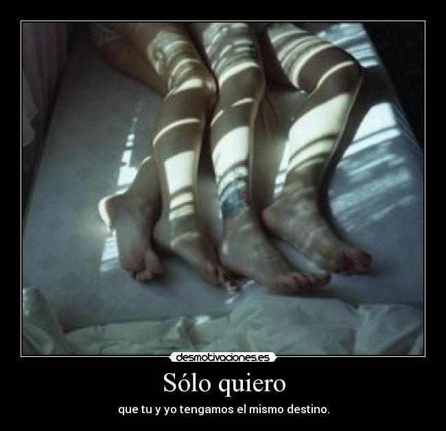 Sólo quiero - que tu y yo tengamos el mismo destino.