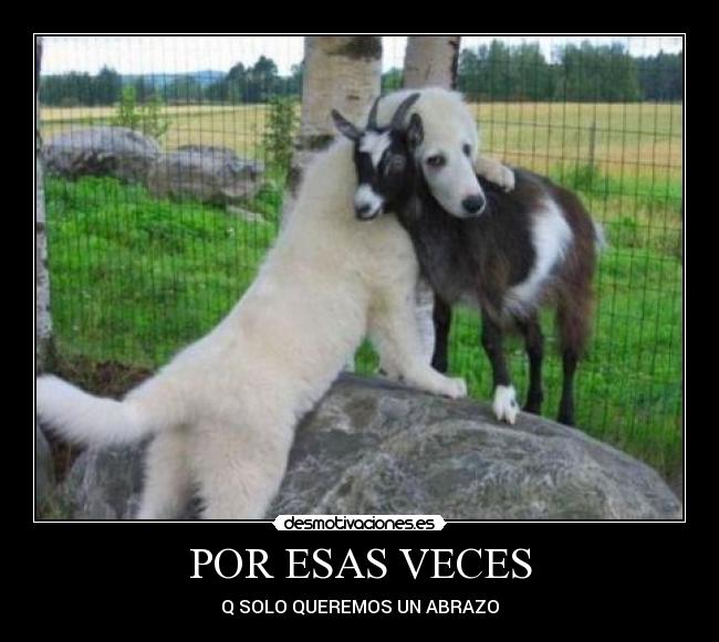 POR ESAS VECES - Q SOLO QUEREMOS UN ABRAZO