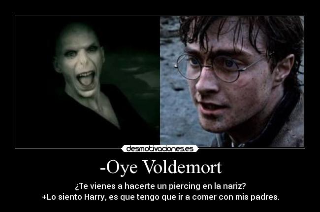 carteles voldemort harry potter desmotivaciones