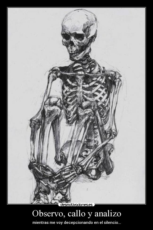 Observo, callo y analizo -