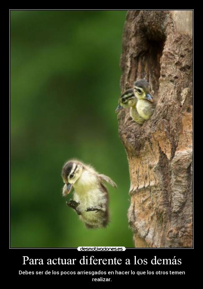 carteles dealwithit jonothing hatersgonnahate desmotivaciones