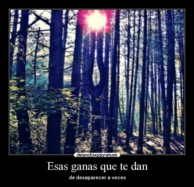 Esas ganas que te dan - de desaparecer a veces