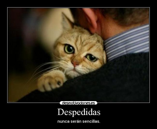 Despedidas - 