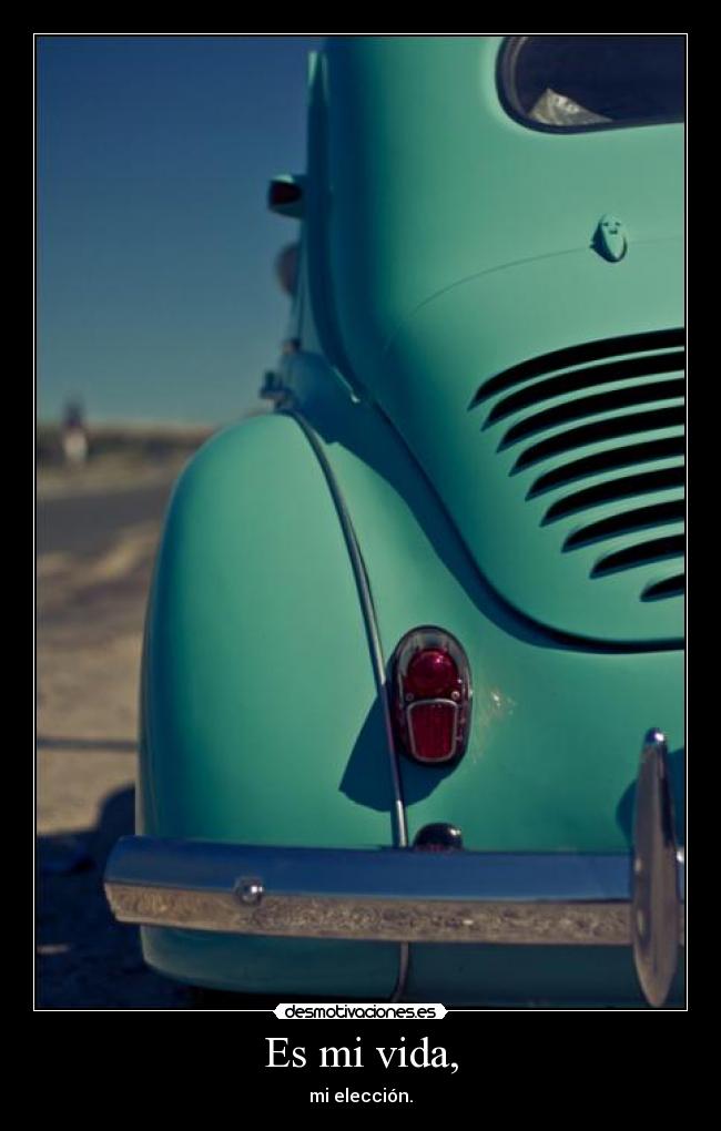 Es mi vida, -