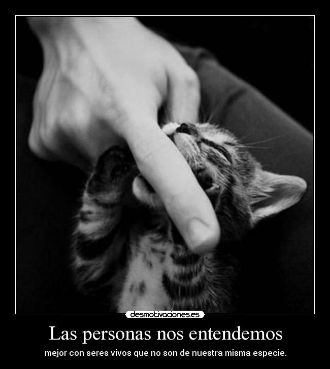 Las personas nos entendemos -