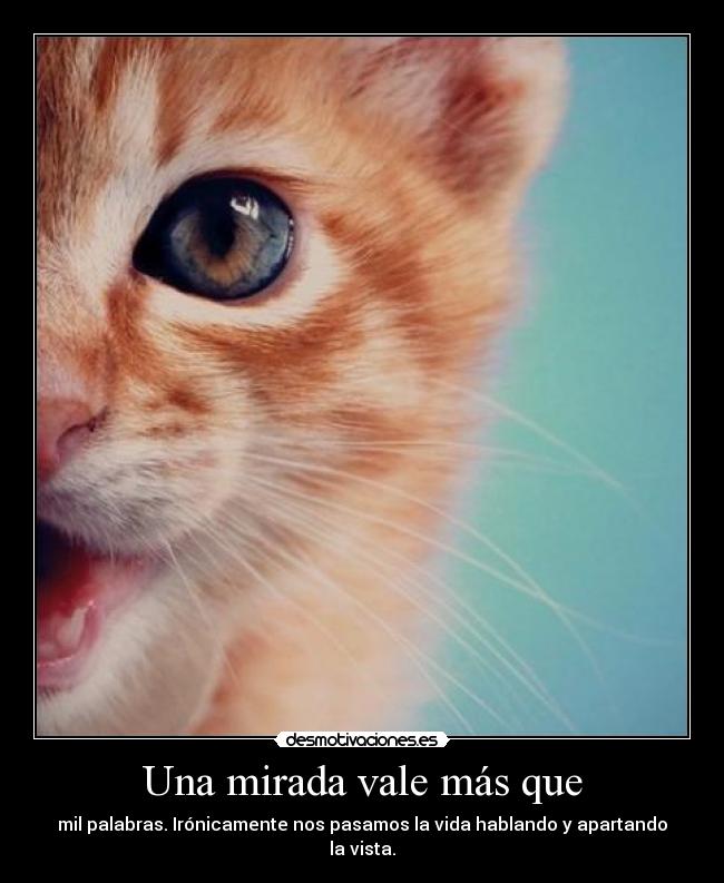 Una mirada vale más que - mil palabras. Irónicamente nos pasamos la vida hablando y apartando la vista.