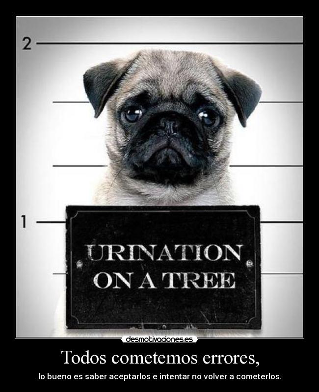 Todos cometemos errores, - 