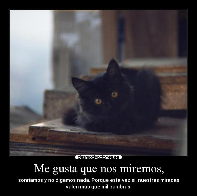 Me gusta que nos miremos, - 