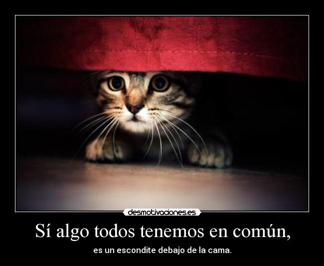 carteles escondo debajo cama listo nadie encuentra desmotivaciones