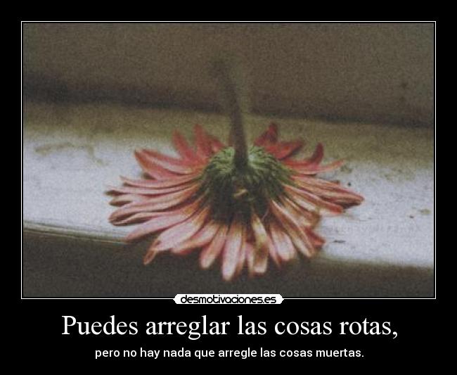 Puedes arreglar las cosas rotas, - pero no hay nada que arregle las cosas muertas.