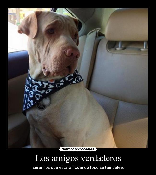 carteles amigos nada que parece desmotivaciones