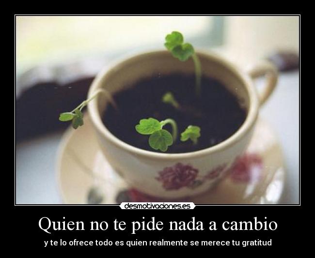 Quien no te pide nada a cambio -