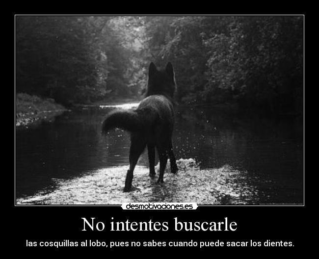 No intentes buscarle -