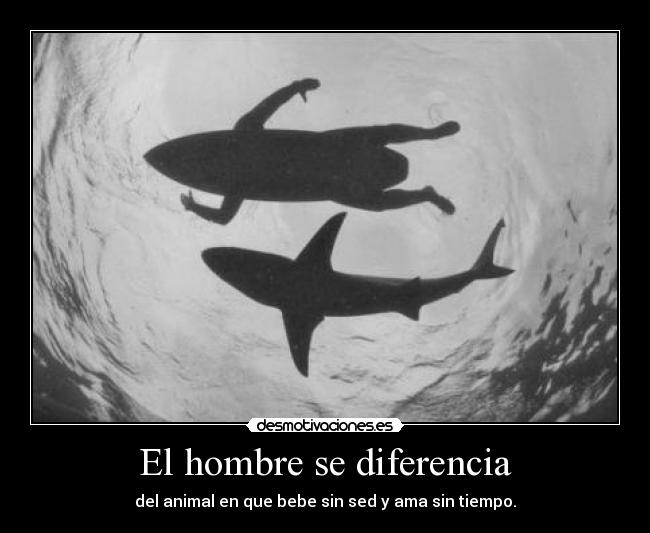 El hombre se diferencia - del animal en que bebe sin sed y ama sin tiempo.