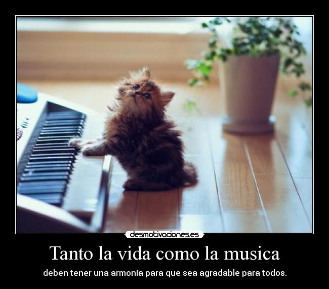Tanto la vida como la musica -