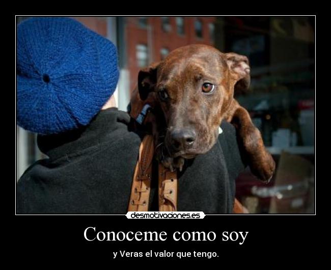 Conoceme como soy - y Veras el valor que tengo.