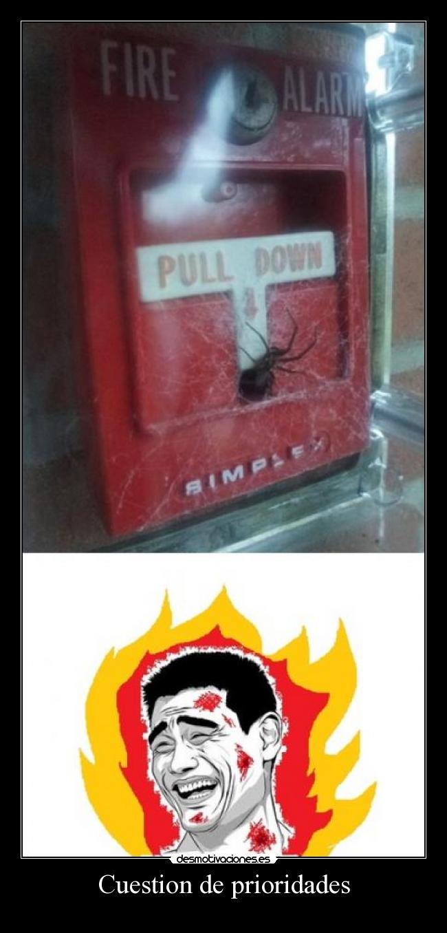 Cuestion de prioridades - 