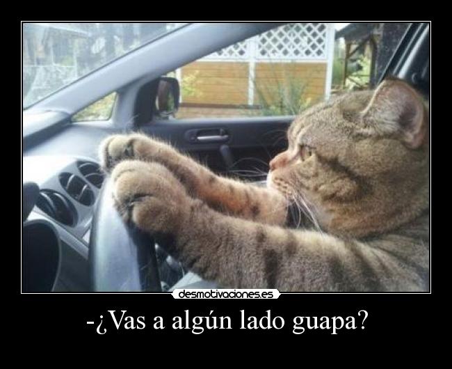 carteles gilipolleces mas solo con eresmidroga jajajaja desmotivaciones