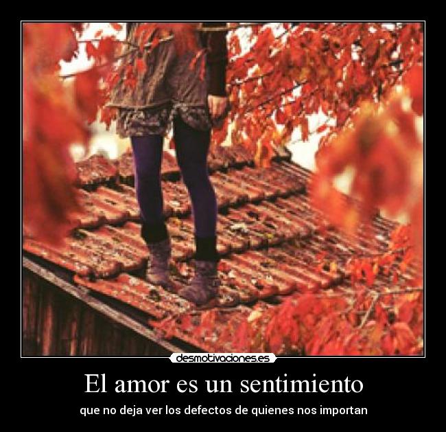 El amor es un sentimiento - que no deja ver los defectos de quienes nos importan
