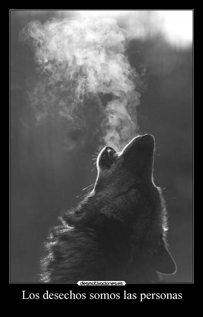 Los desechos somos las personas -