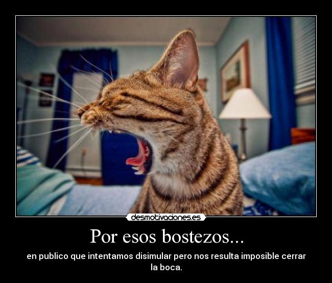 Por esos bostezos... - en publico que intentamos disimular pero nos resulta imposible cerrar la boca.