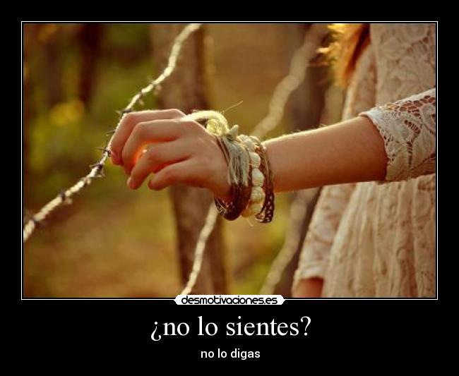 ¿no lo sientes? - no lo digas