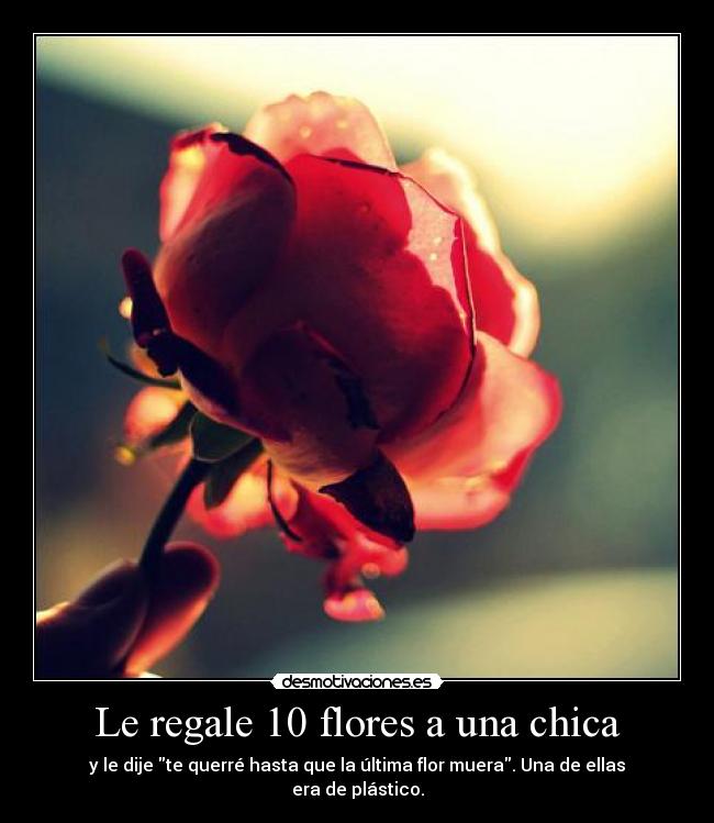 Le regale 10 flores a una chica - y le dije te querré hasta que la última flor muera. Una de ellas era de plástico.