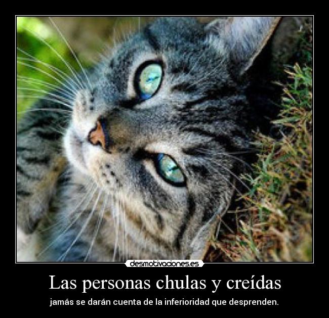 Las personas chulas y creídas - 