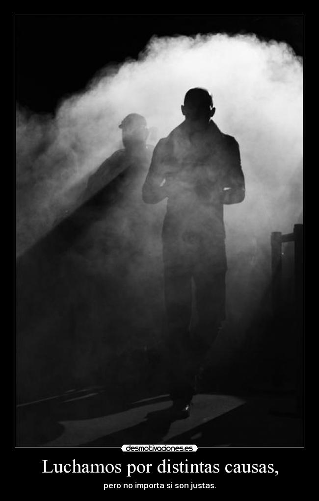Luchamos por distintas causas, - 