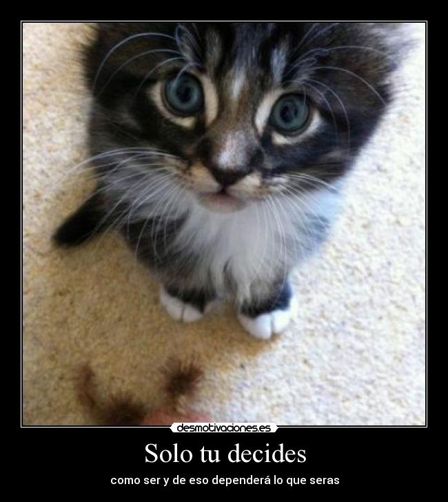 Solo tu decides - 