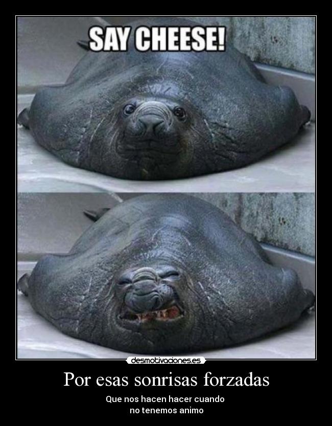 Por esas sonrisas forzadas - Que nos hacen hacer cuando
no tenemos animo