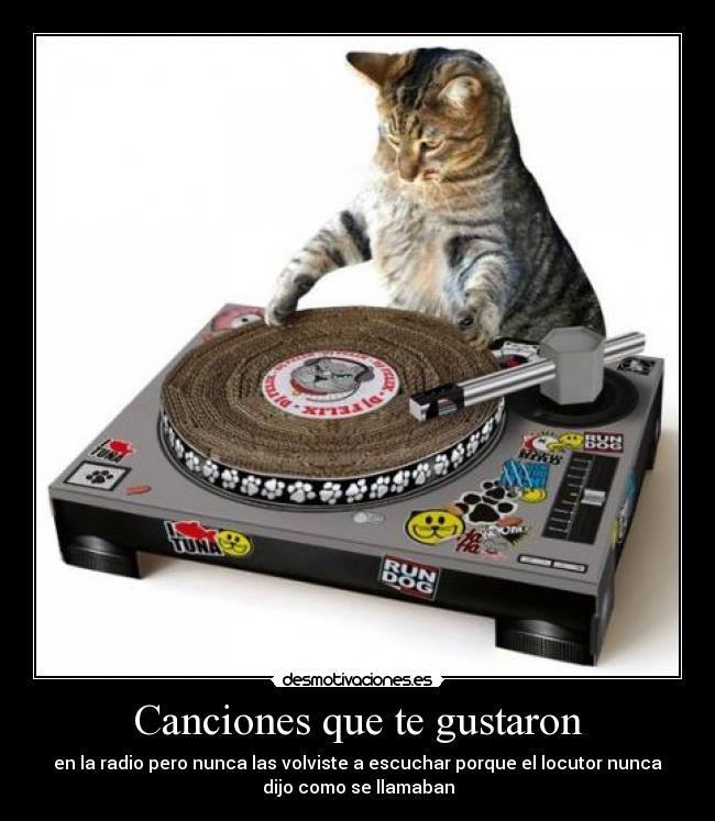 Canciones que te gustaron -