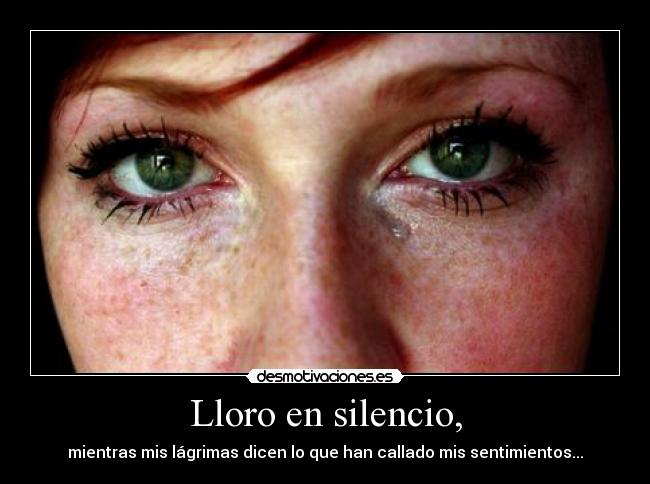 carteles silencio lloroensilencio desmotivaciones