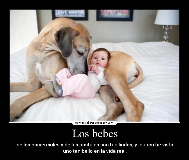 Los bebes -