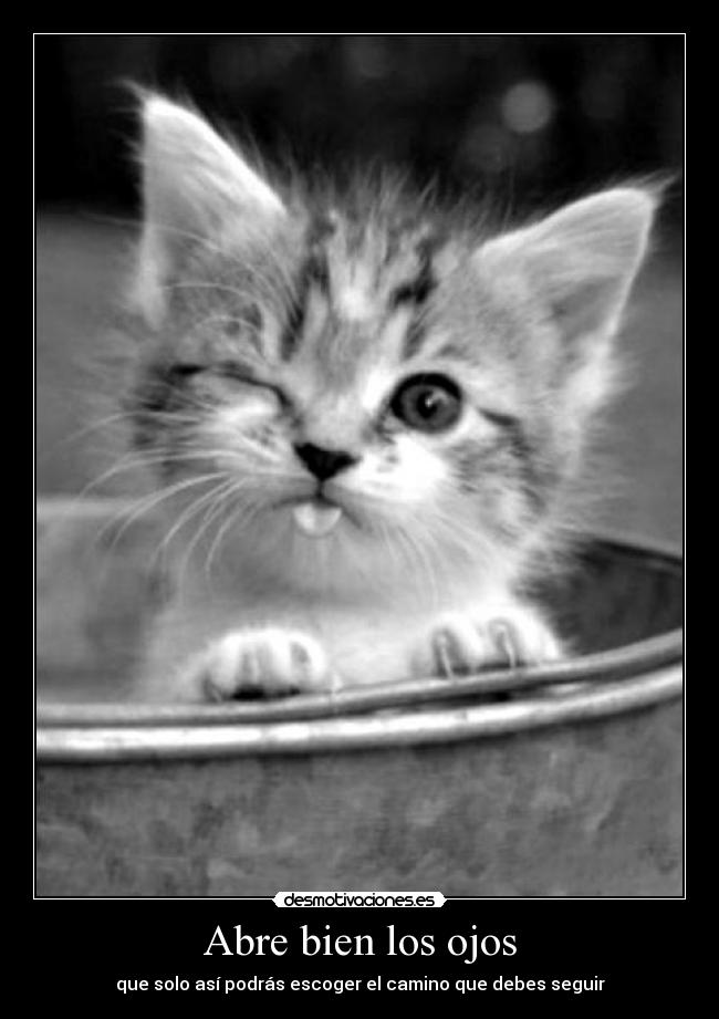Abre bien los ojos - que solo así podrás escoger el camino que debes seguir