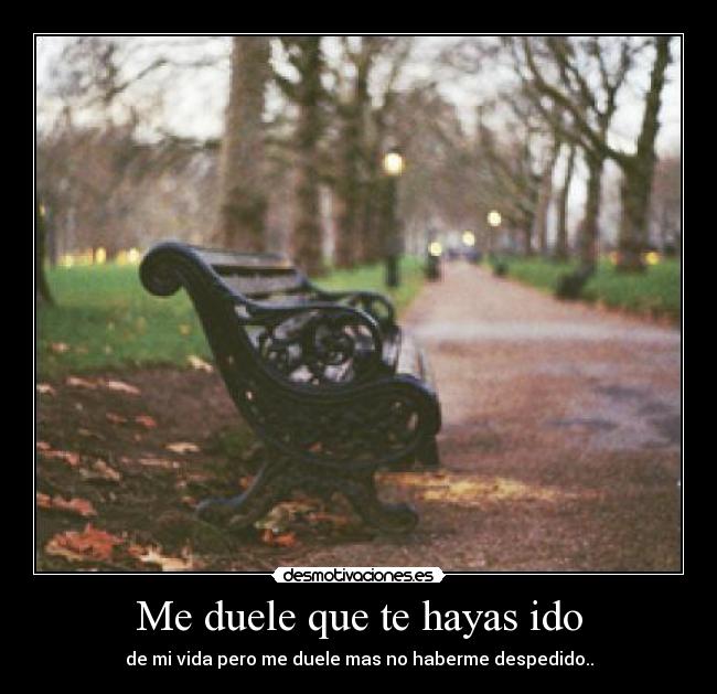 Me duele que te hayas ido - 