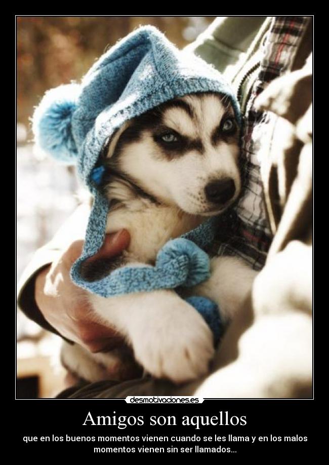 Amigos son aquellos - 