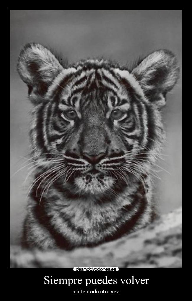 Siempre puedes volver - a intentarlo otra vez.