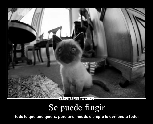 Se puede fingir - todo lo que uno quiera, pero una mirada siempre lo confesara todo.