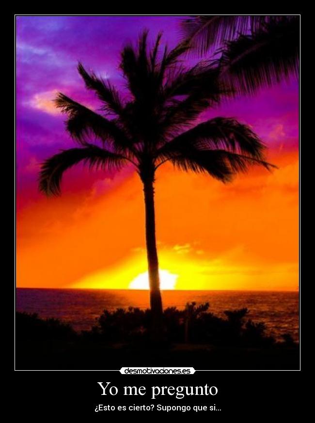 Yo me pregunto - ¿Esto es cierto? Supongo que si...