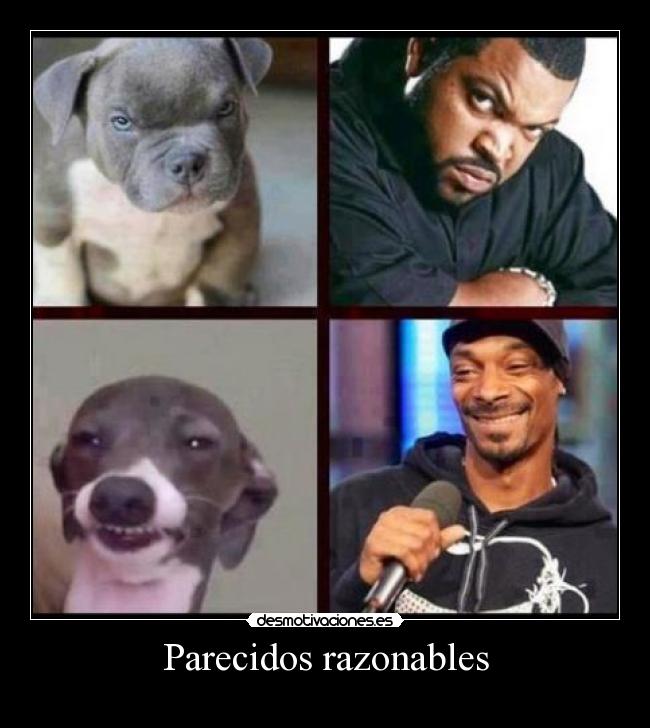 Parecidos razonables - 