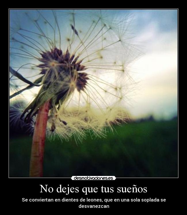 No dejes que tus sueños - Se conviertan en dientes de leones, que en una sola soplada se desvanezcan