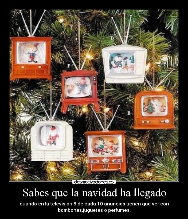 Sabes que la navidad ha llegado - 