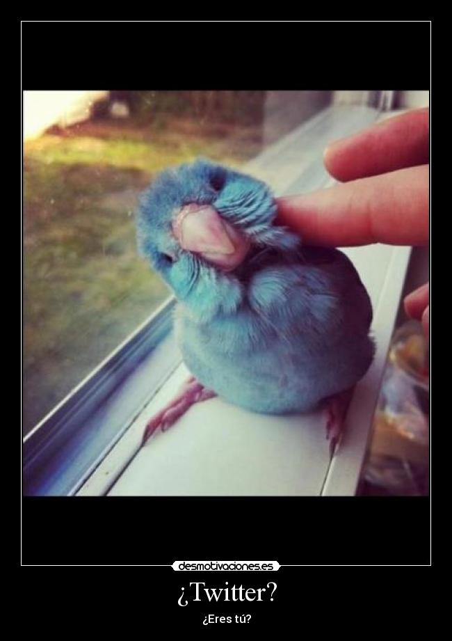 ¿Twitter? - ¿Eres tú?