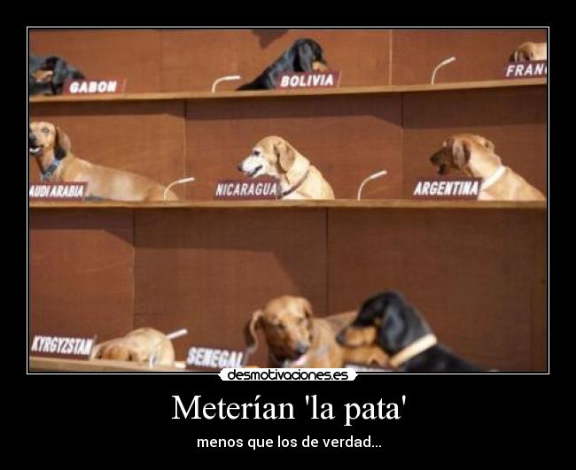 Meterían la pata - 