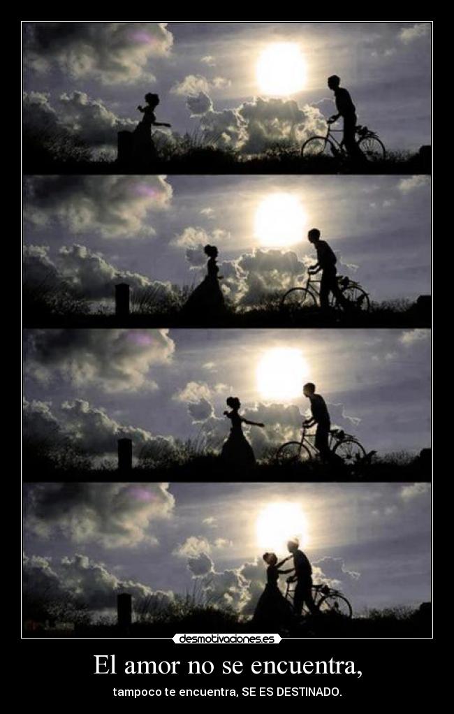 El amor no se encuentra, - tampoco te encuentra, SE ES DESTINADO.
