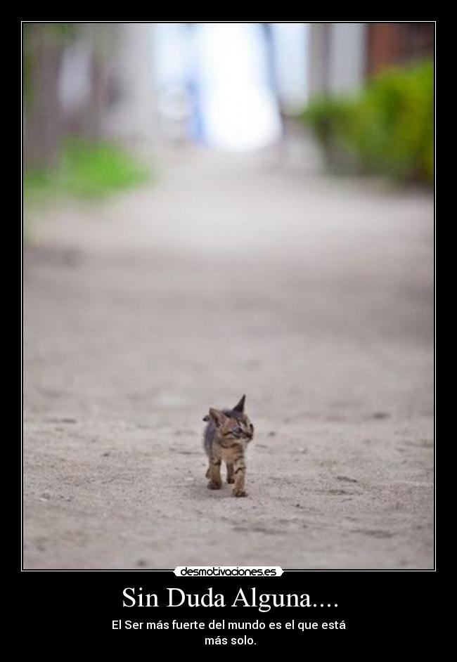 Sin Duda Alguna.... -