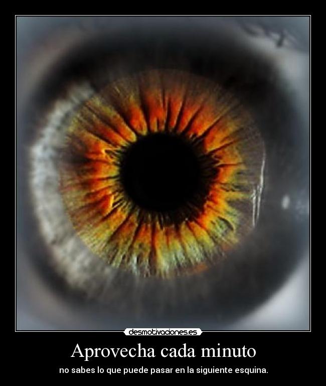 carteles tiempo desmotivaciones