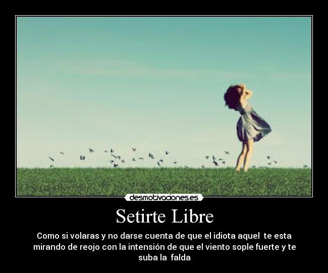 Setirte Libre -